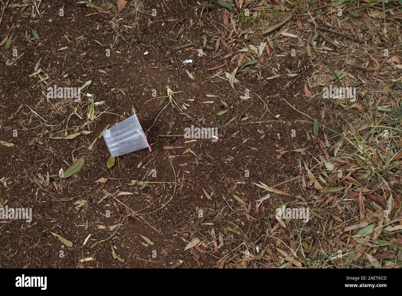 Resti di spazzatura lasciati dall'uomo nella natura che sporca l'ambiente. Immagine con spazio di copia Foto Stock