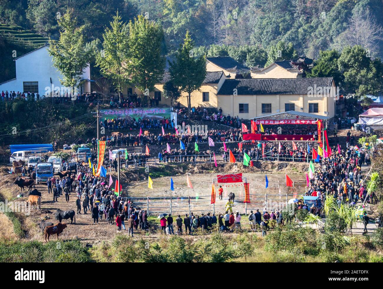 Le persone si radunano per guardare bull lotta al ventisettesimo Bull lotta concorrenza nel villaggio Houshu in Jinhua city, est della Cina di provincia dello Zhejiang, 3 novembre 2019 Foto Stock