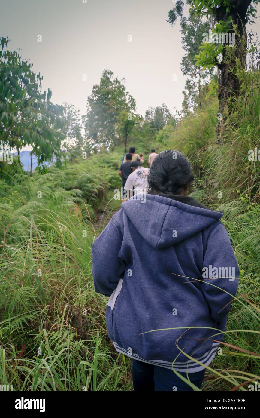 Turisti indiano di navigazione e di escursioni a piedi attraverso le foreste del Kerala, in India Foto Stock