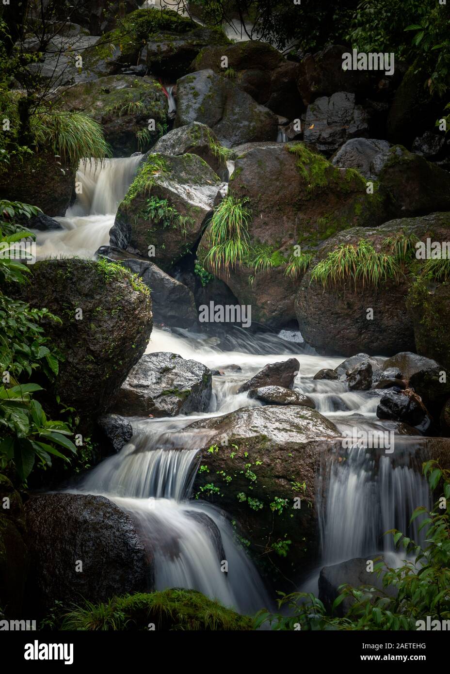 Ritratto di una cascata in una Foresta Indiana durante il picco di stagione dei monsoni Foto Stock