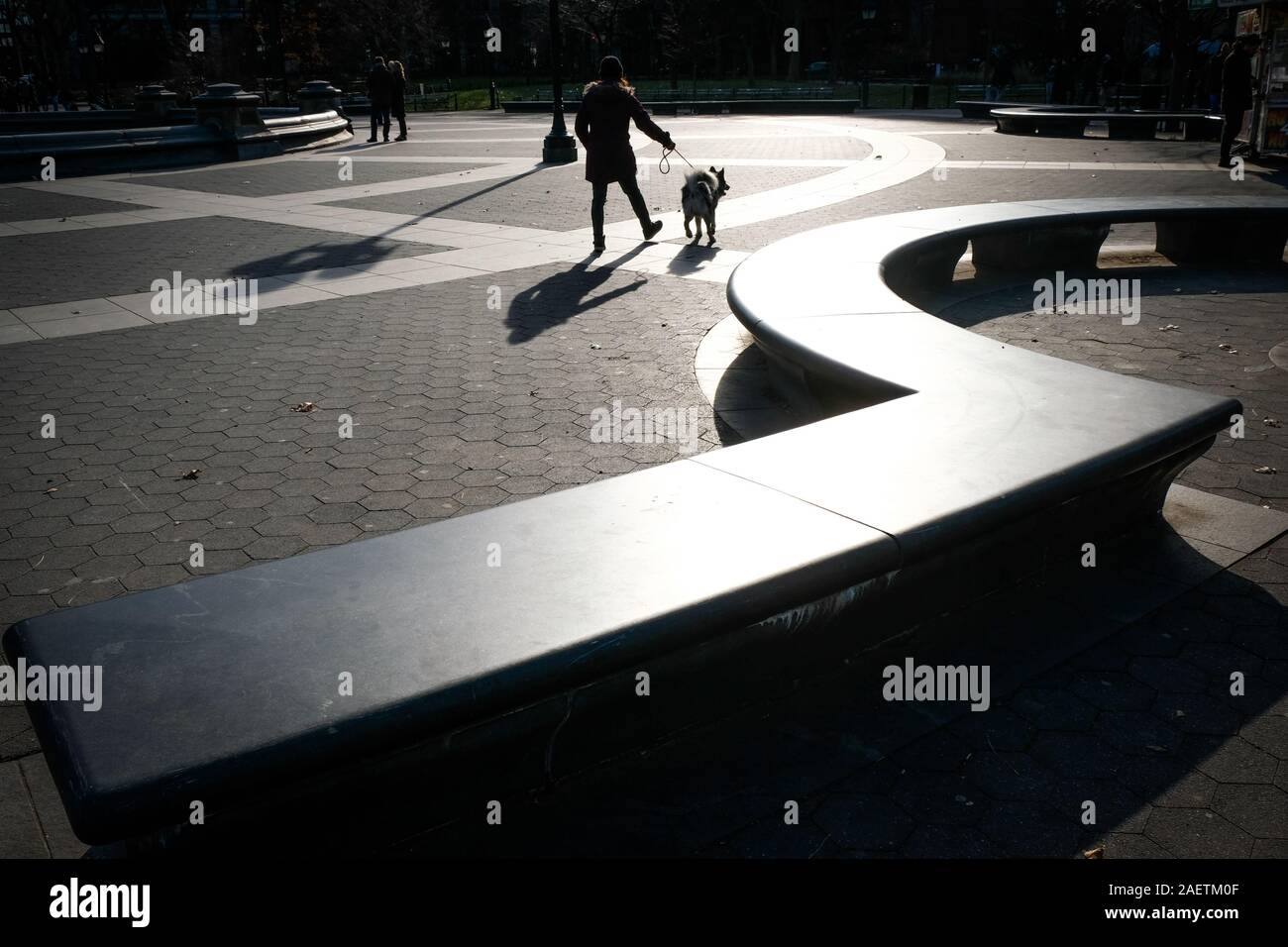 Passeggiate pedonali cane attraverso Washington Square, NYC, in inverno la luce. Foto Stock