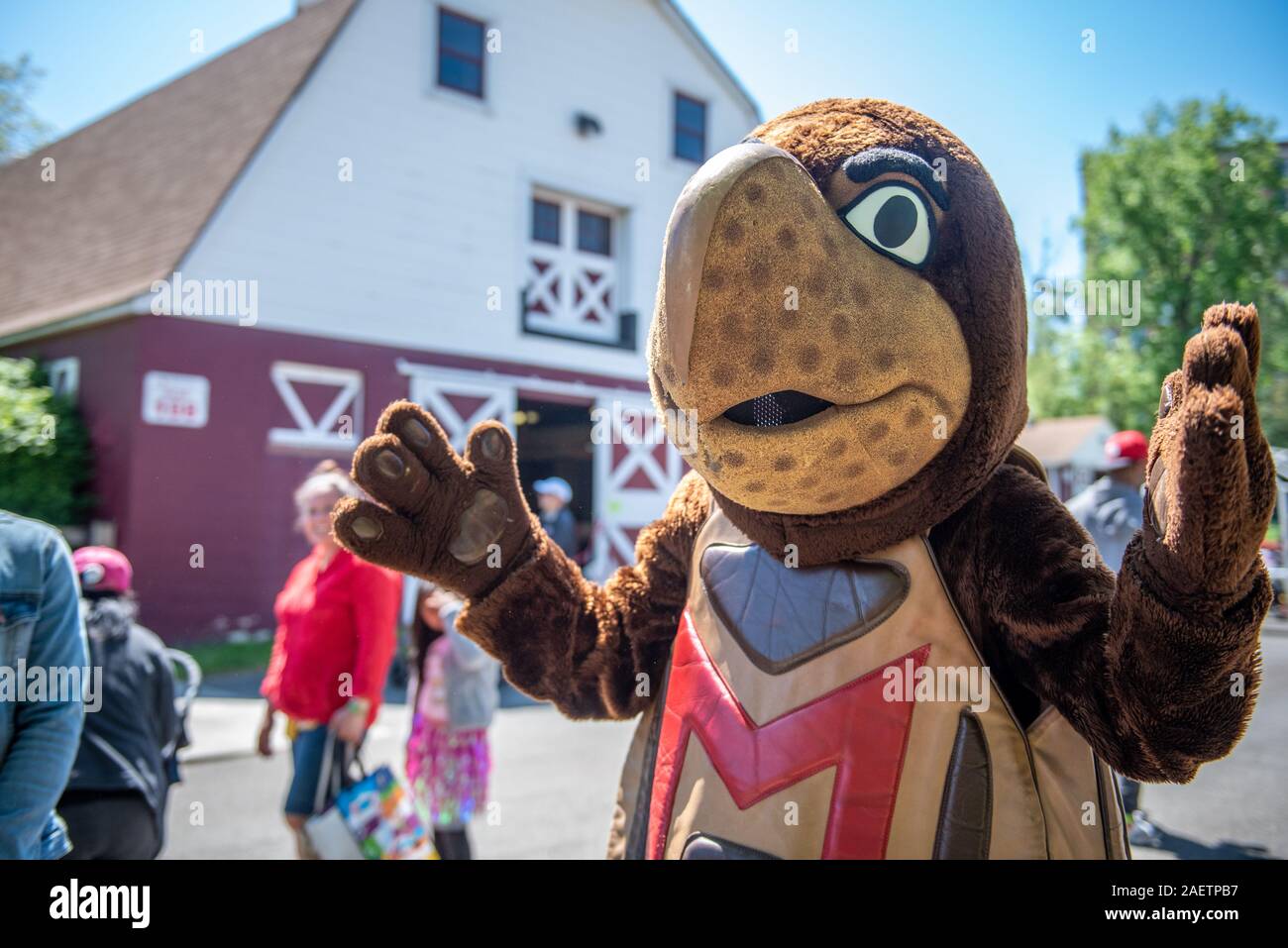 Testudo, la mascotte di UMD, fuori e circa per il Maryland giorno, College Park, Maryland. Foto Stock