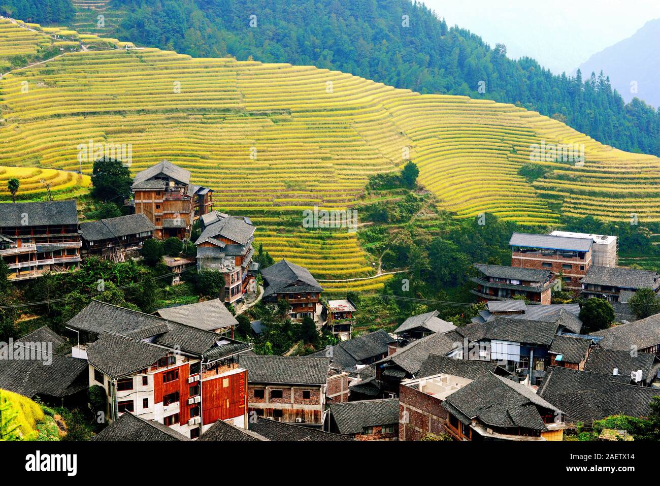 Una veduta aerea di Longsheng terrazze di riso, noto anche come Longji terrazze di riso, che viene salutato come la più bella terrazza nel mondo, girando yel Foto Stock