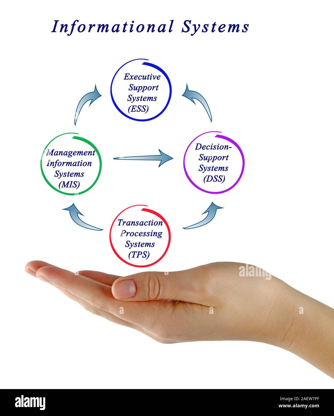Schema del sistema di informazione Foto Stock