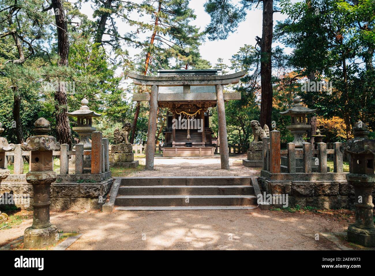 Kyoto, Giappone - 12 Aprile 2019 : Amanohashidate santuario Foto Stock