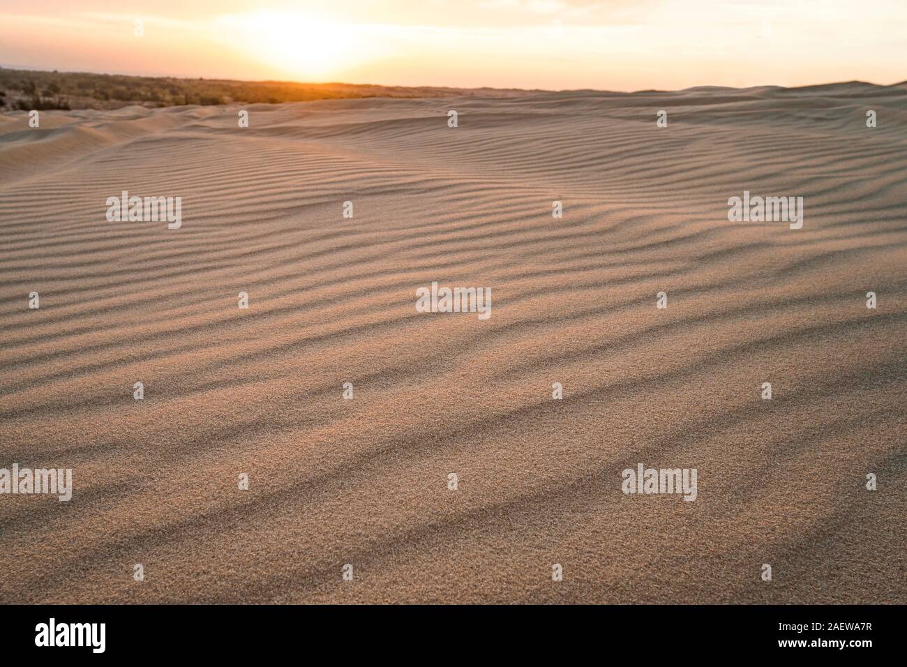 Splendido paesaggio del deserto asiatico. Alba sulle dune di sabbia di MUI ne Vietnam. Tramonto oltre l'orizzonte Foto Stock
