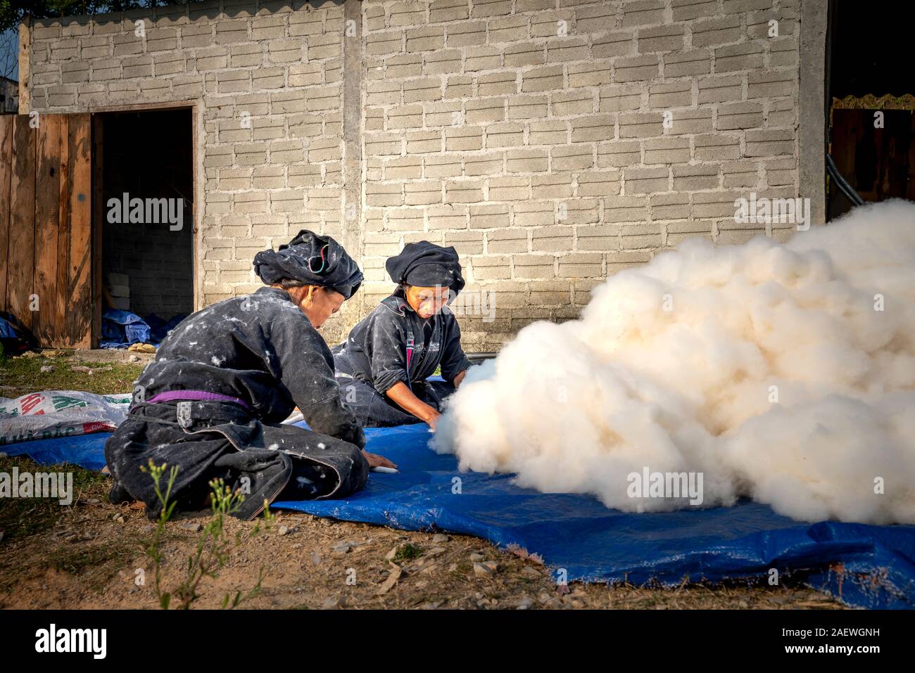 Hoang Su Phi, Ha Giang Provincia, Vietnam - Settembre 25, 2019: etnico le donne sono la manipolazione di cotone tessuto a trama in Hoang Su Phi, Ha Giang Provincia, Vi Foto Stock