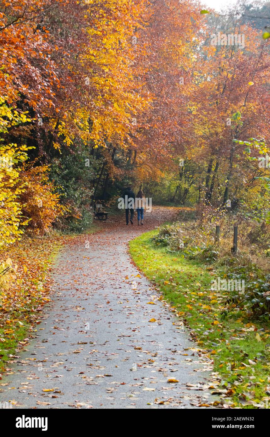 Gli scuotipaglia dal fiume di usura in autunno in Durham City Regno Unito Foto Stock