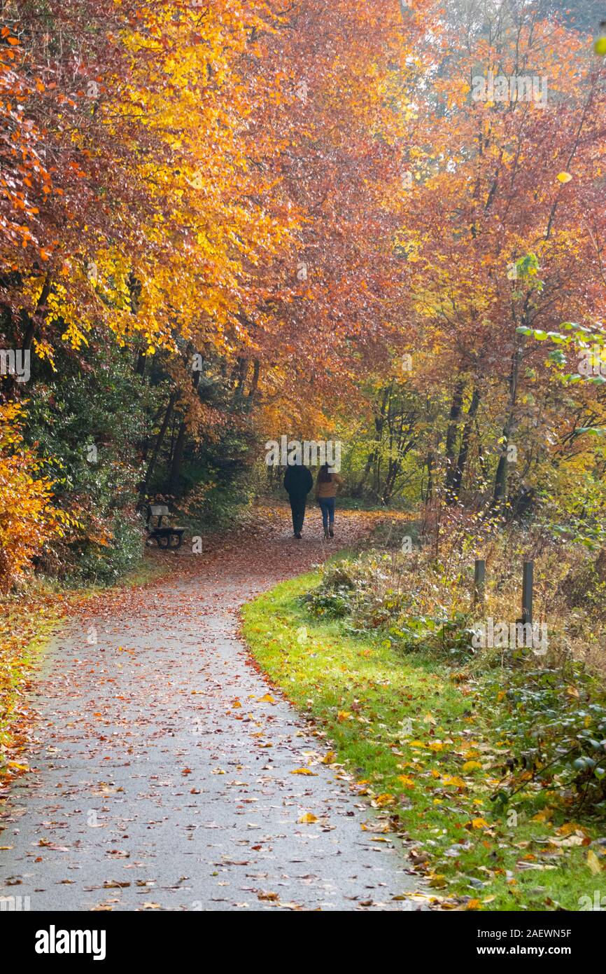 Gli scuotipaglia dal fiume di usura in autunno in Durham City Regno Unito Foto Stock