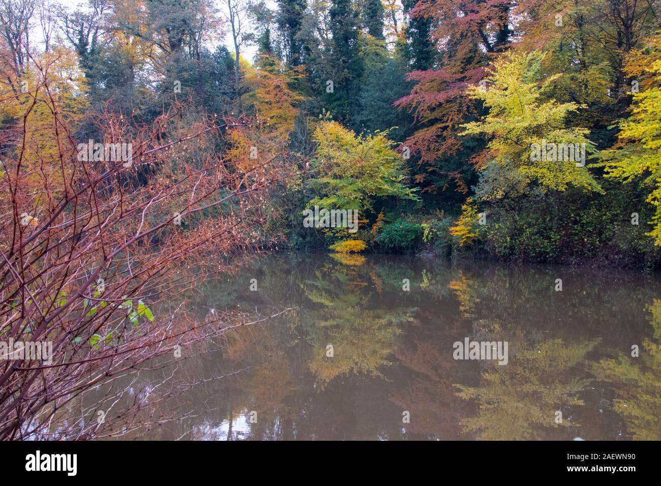 Colore di autunno e di riflessioni dal fiume di usura nella città di Durham Regno Unito Foto Stock