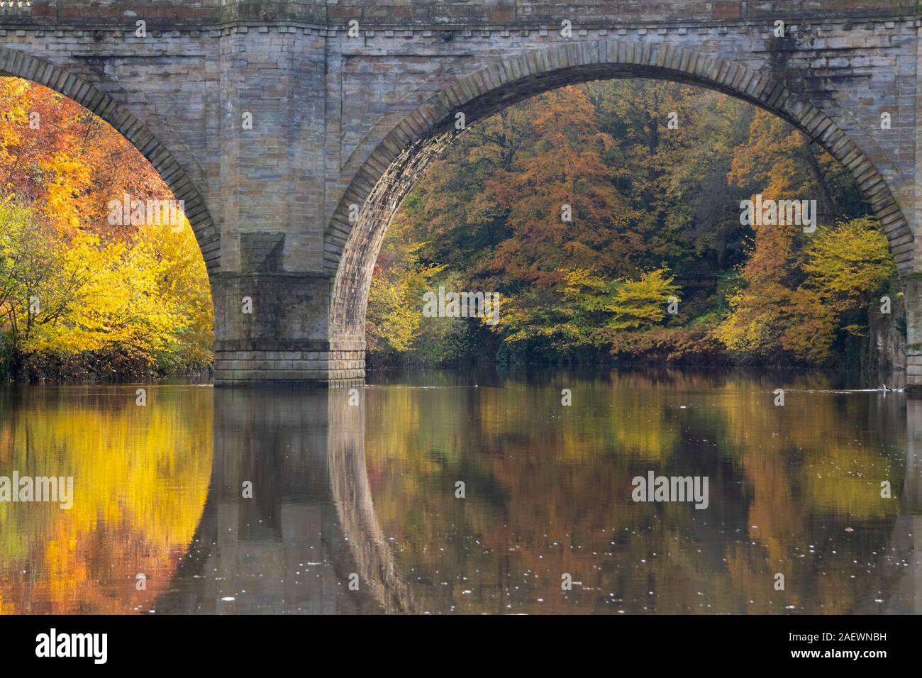 Riflessioni sul fiume indossare sotto Prebenda ponte della città di Durham Regno Unito Foto Stock