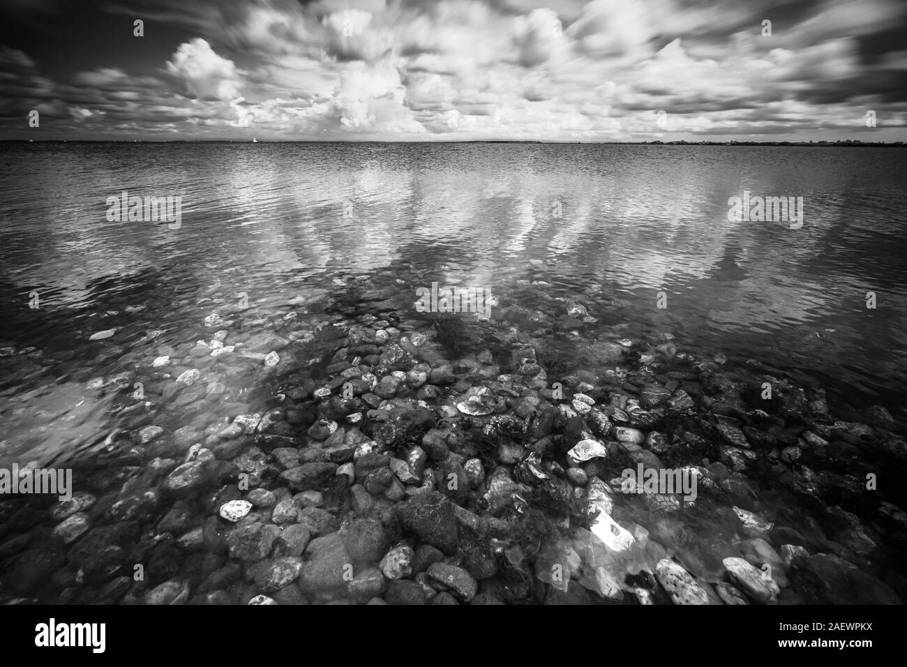 Oyster beach sulla zona costiera del lago Grevelingenmeer vicino alla città di Scharendijke. Il paesaggio costiero con gusci di ostrica, cielo blu e barca a vela Foto Stock