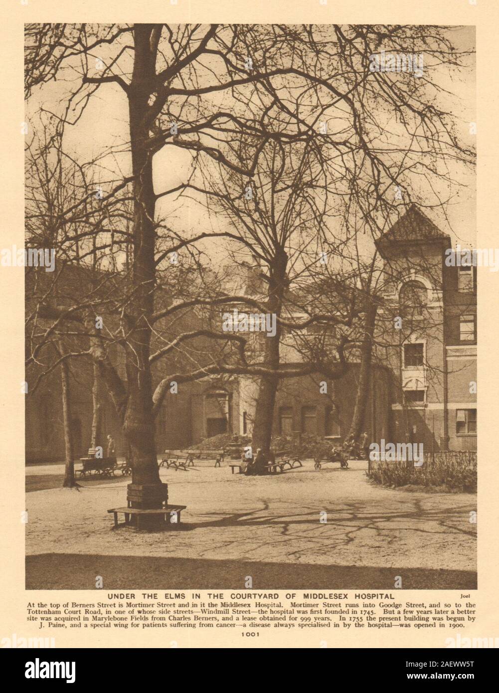 Middlesex Hospital cortile, Mortimer Street, Fitzrovia 1926 antica stampa Foto Stock