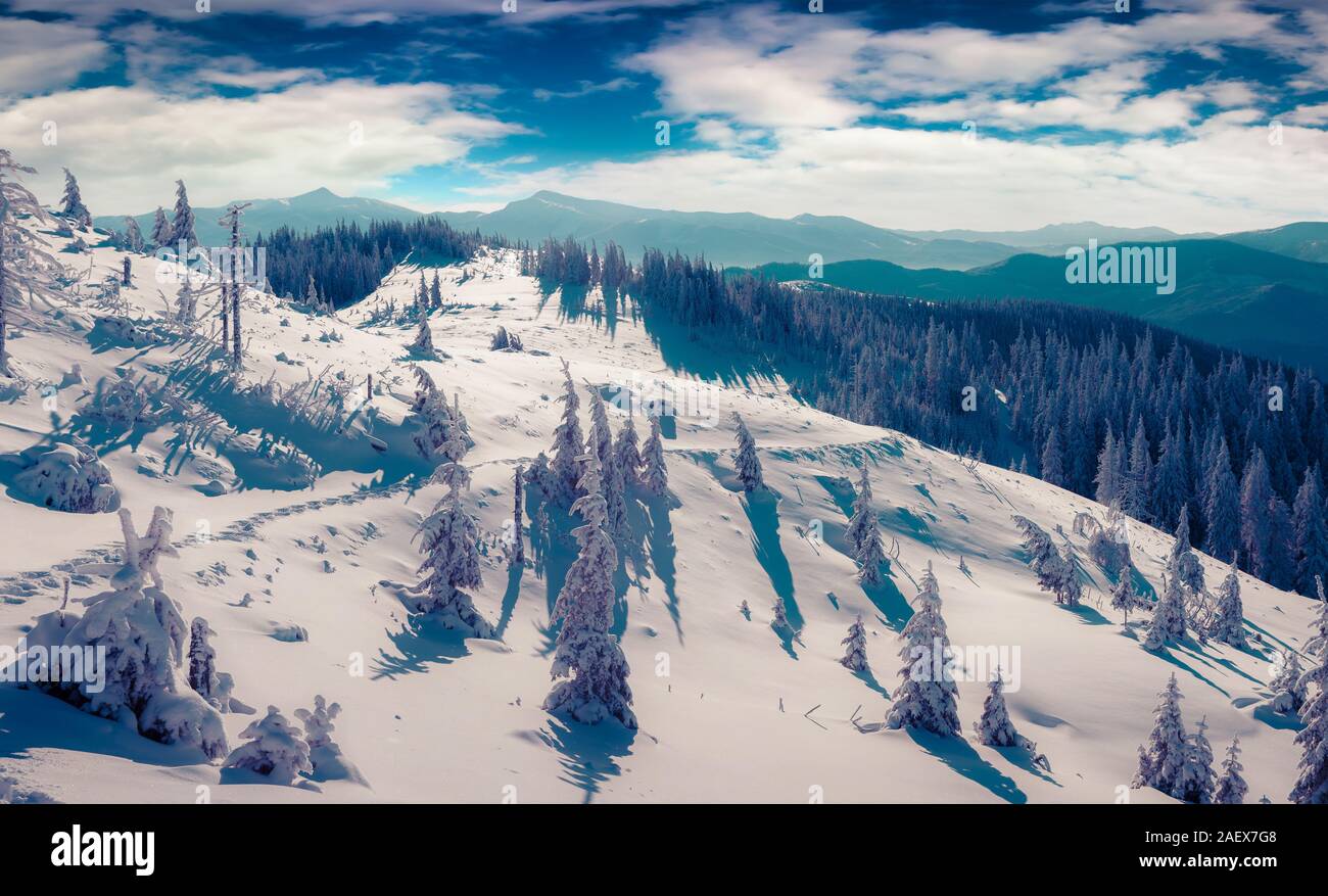 Sunny scena invernale nelle montagne dei Carpazi. Instagram tonificante. Foto Stock