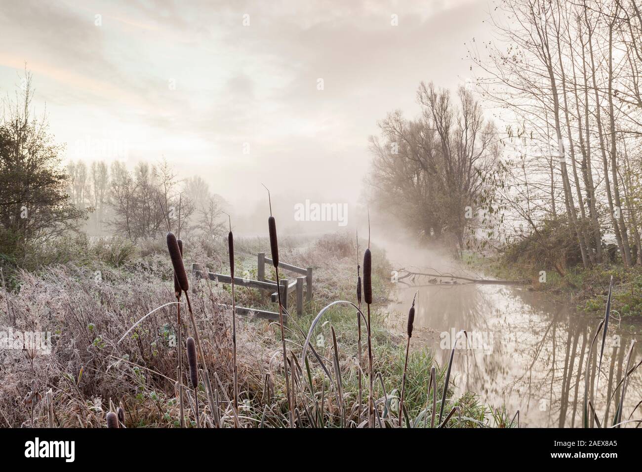 Sunrise nel Ouse Valley, East Sussex, Inghilterra. Foto Stock