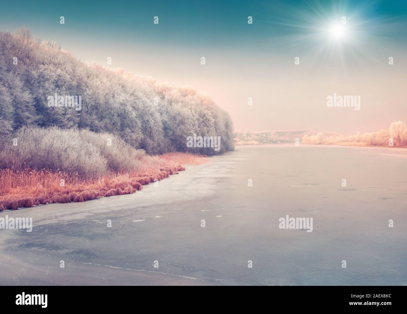 Sunny scena invernale del Congelato stagno nel parco della città. Instagram tonificante. Foto Stock