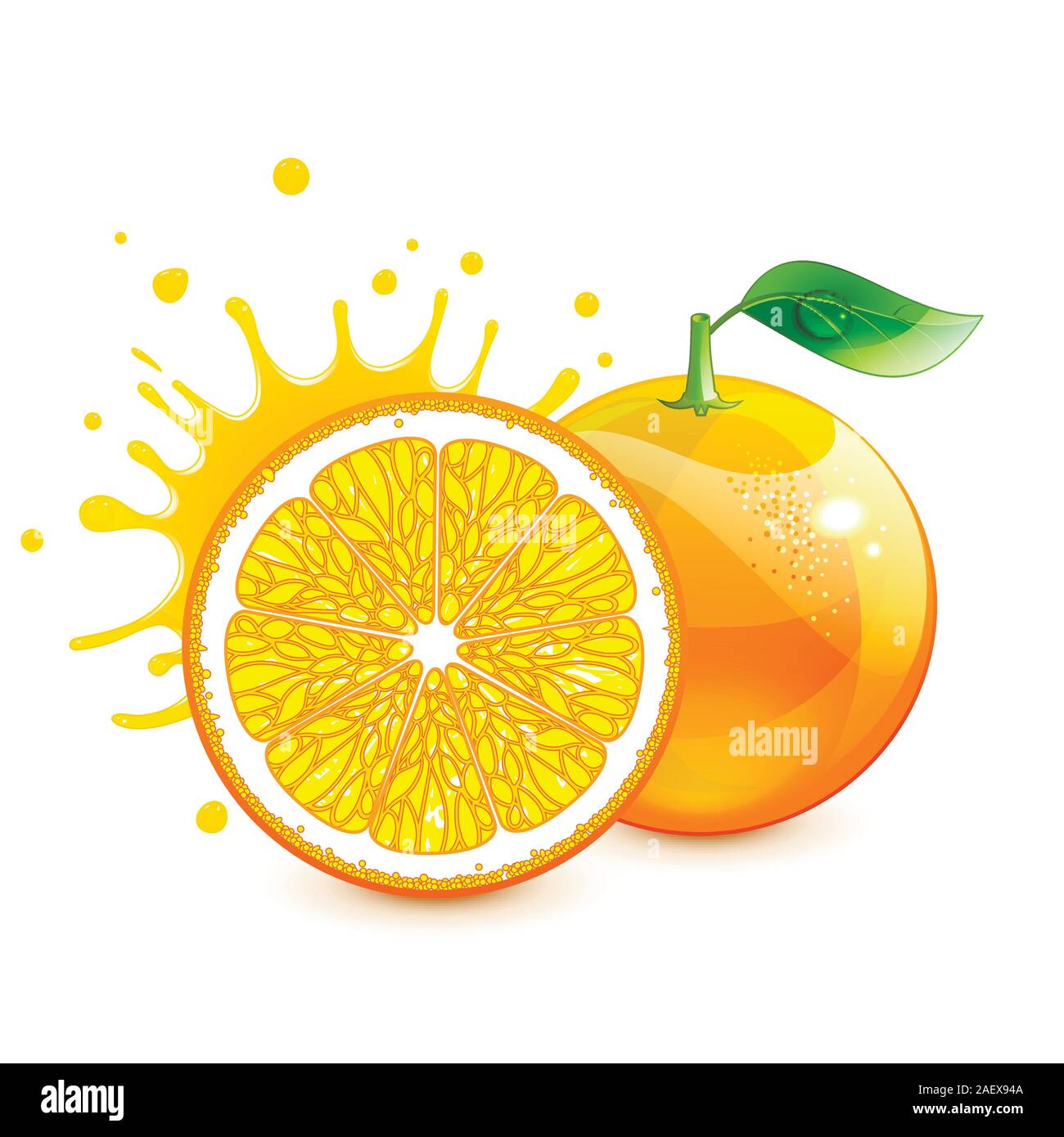 Stilizzata succosa arancione e la sua metà su sfondo bianco Illustrazione Vettoriale