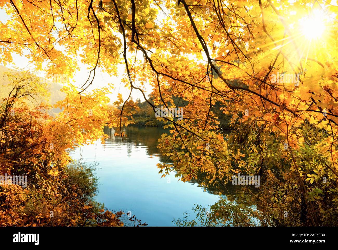 Autunno dorato scenic in un fiume, con il sole che splende caldamente attraverso le foglie d'oro Foto Stock