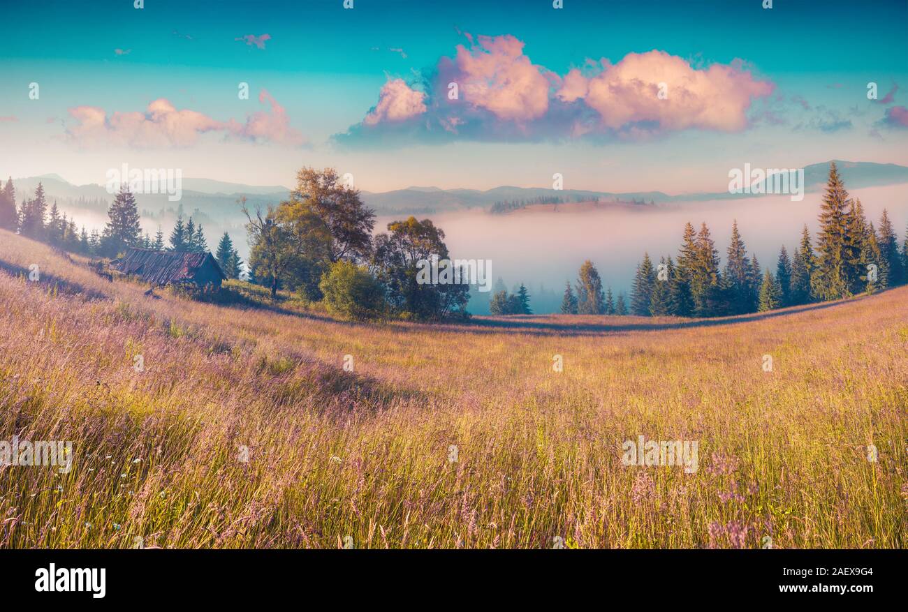 Colorata scena estiva in montagna con dolci colline e valli in presenza di luce solare. Mattinata nebbiosa nei Carpazi, Kvasy village posizione, Ucraina, Euro Foto Stock