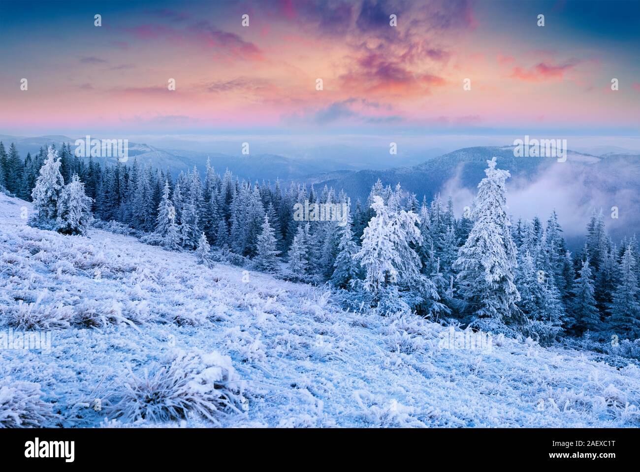 Splendida la scena di Natale nelle foreste di montagna. Colorato tramonto in inverno nei Carpazi, Ucraina, l'Europa. Stile artistico post elaborati foto. Foto Stock