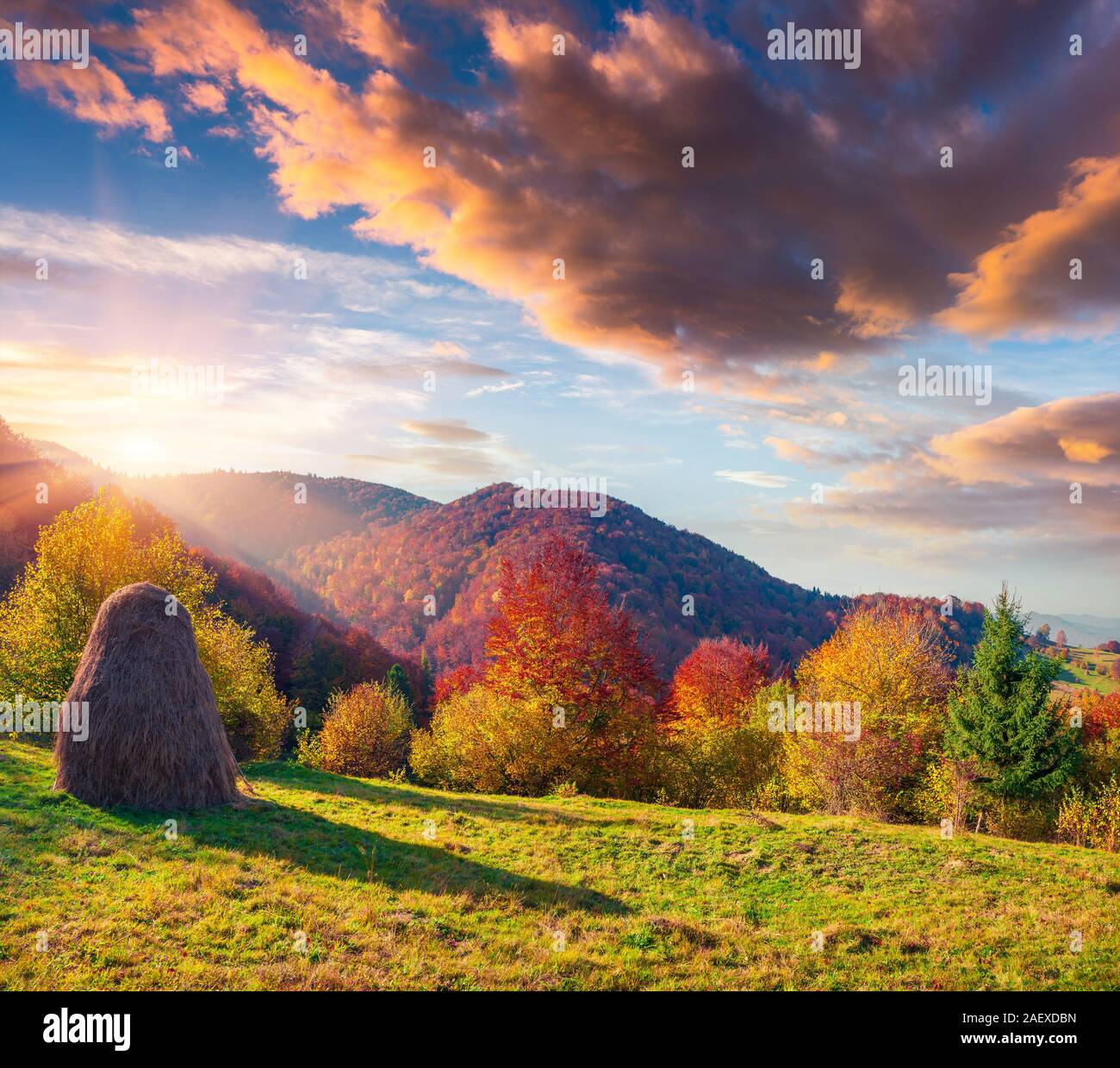 Colori d'autunno mattina nei Carpazi. Drammatica sunrise nel villaggio di montagna, Ucraina, l'Europa. Stile artistico post elaborati foto. Foto Stock