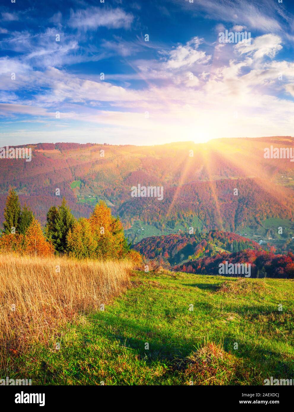 Incredibile autunno sunrise nei Carpazi. Mattina colorate in scena la valle di montagna. Stile artistico post elaborati foto. Foto Stock