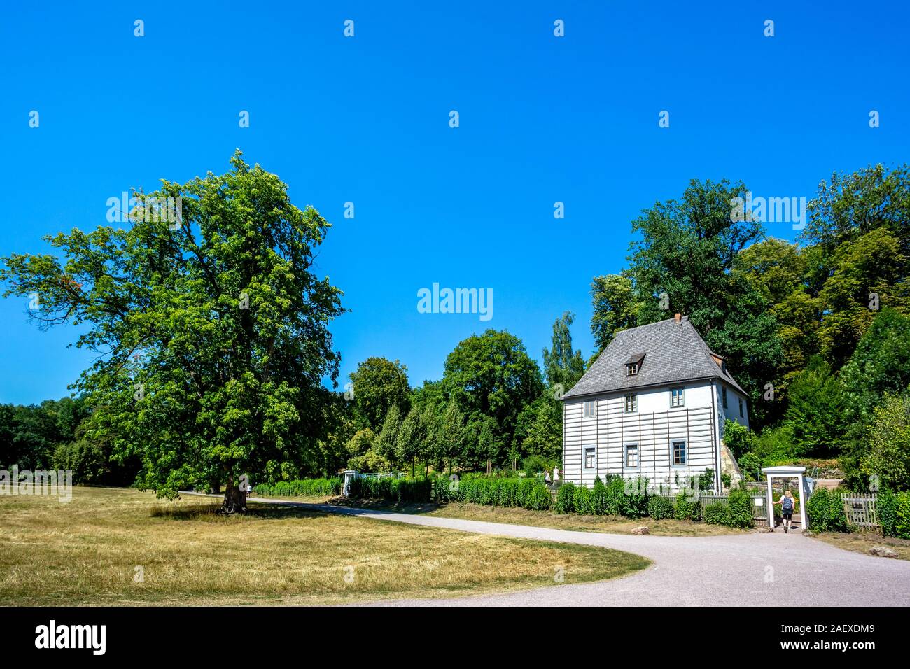 Garden Casa di Goethe a Weimar, Germania Foto Stock