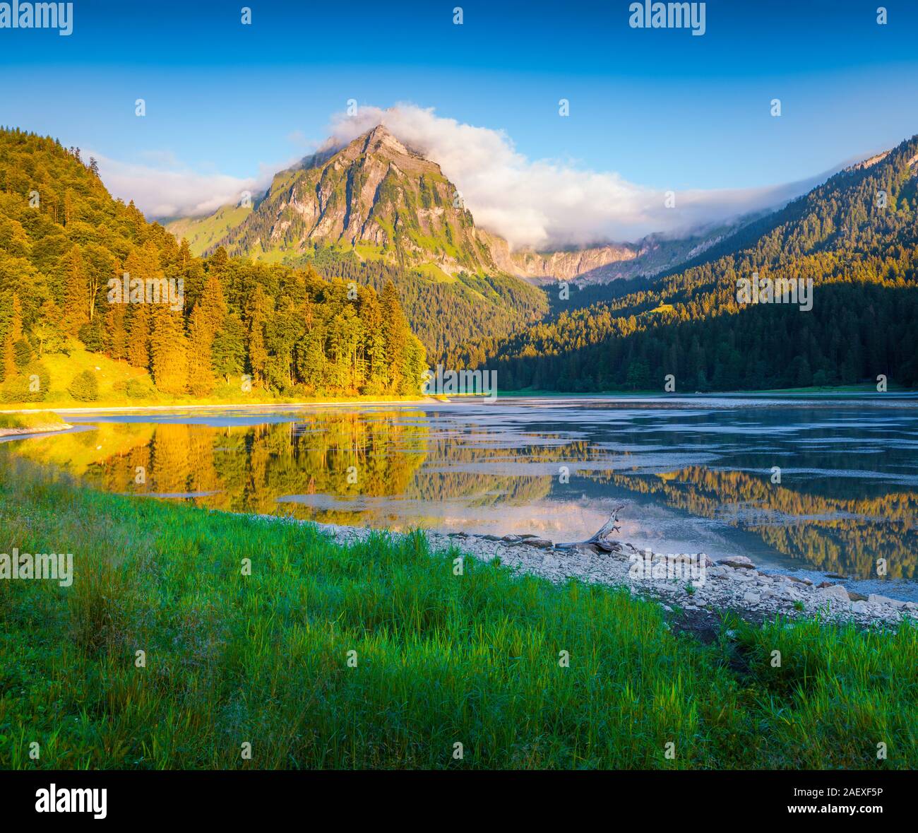 Colorato mattina d'estate sull'incredibilmente bella Swiss - lago Obersee, situato vicino al villaggio di Nafels. Alpi, Svizzera, Europa. Foto Stock