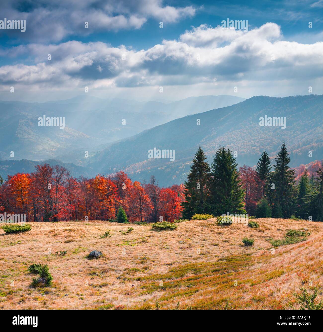 Splendida piscina di scena nelle montagne dei Carpazi. Colorato paesaggio autunnale sul Svydovets mountain range, Transcarpazia, Ucraina, l'Europa. Arti Foto Stock