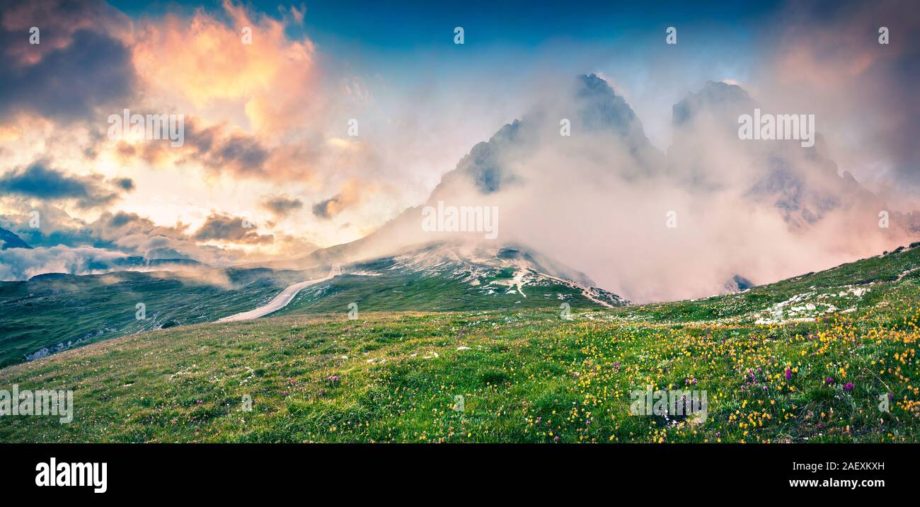 Colori fantastici panorama estate nel parco nazionale delle Tre Cime di Lavaredo. Tramonto nelle alpi dolomitiche con il campo dei fiori che sbocciano in Alto Adige. Locat Foto Stock