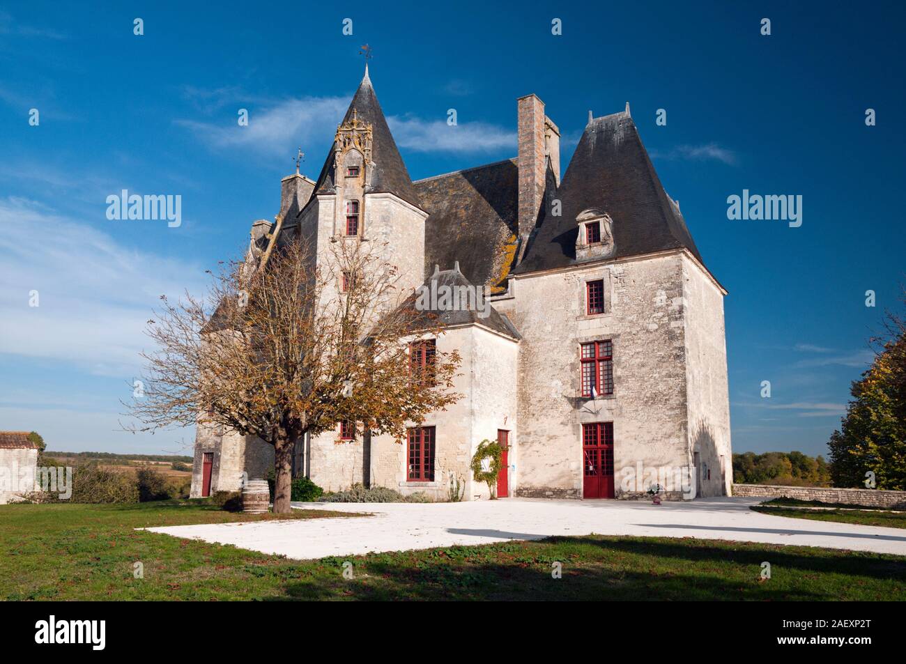 Castello di Neuvicq-le-Chateau vicino a Cognac, Charente-Maritime (17), regione Nouvelle-Aquitaine, Francia Foto Stock