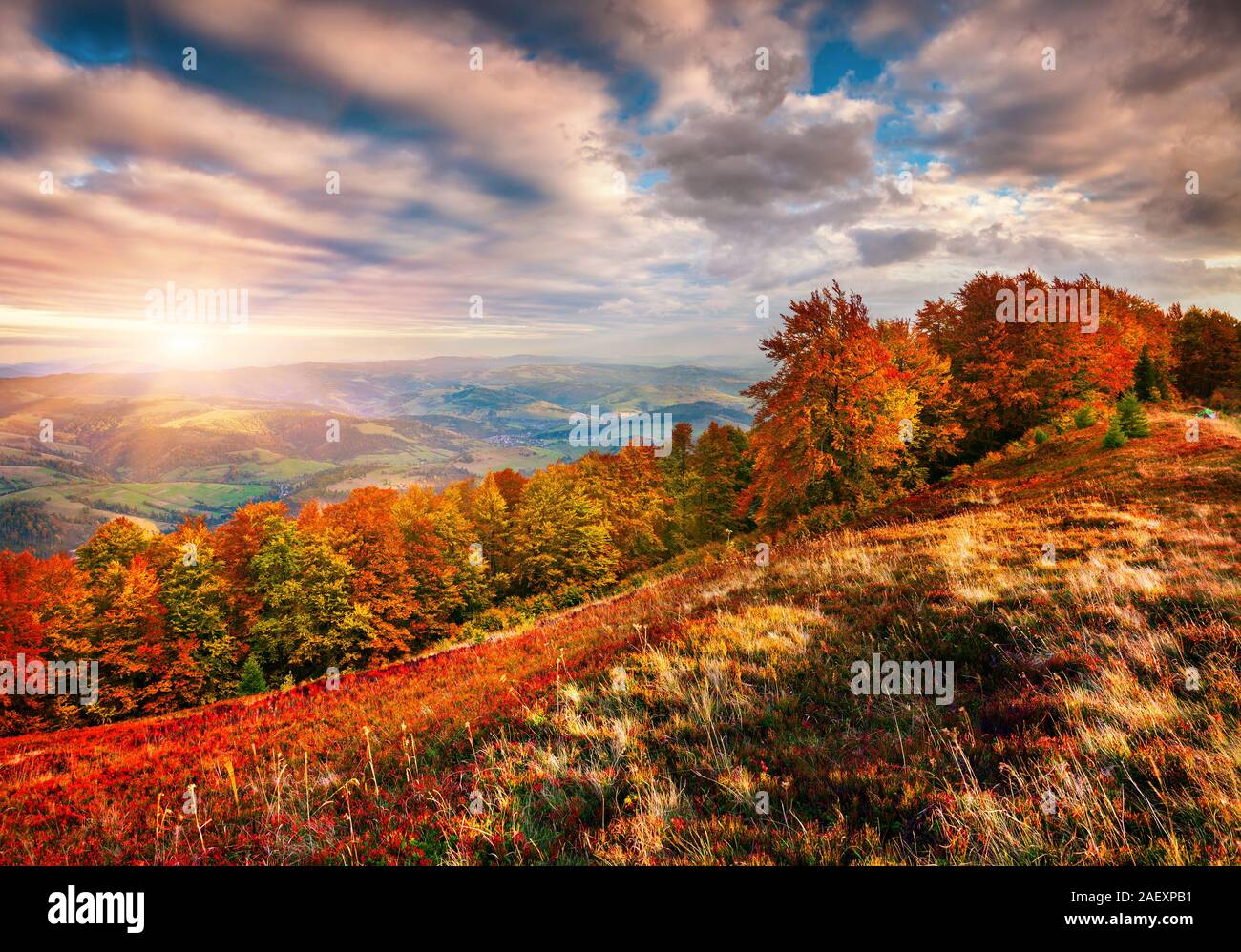 Colori d'autunno sunrise in montagna. Splendido paesaggio di mattina nei Carpazi. Stile artistico post elaborati foto. Foto Stock