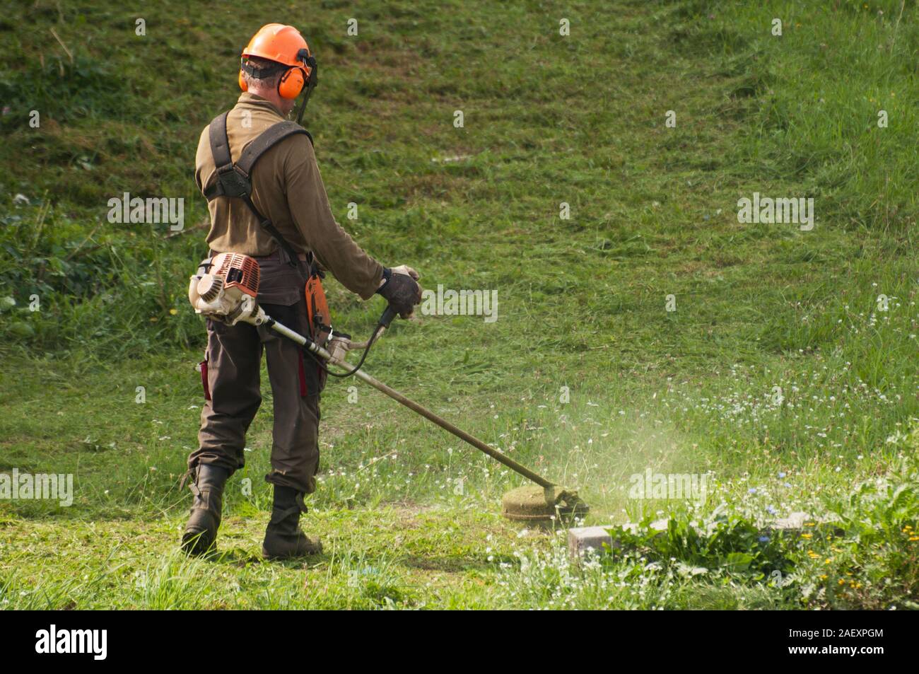 Lavoratore di erba di trimming tramite un hand-held fresa meccanica Foto Stock