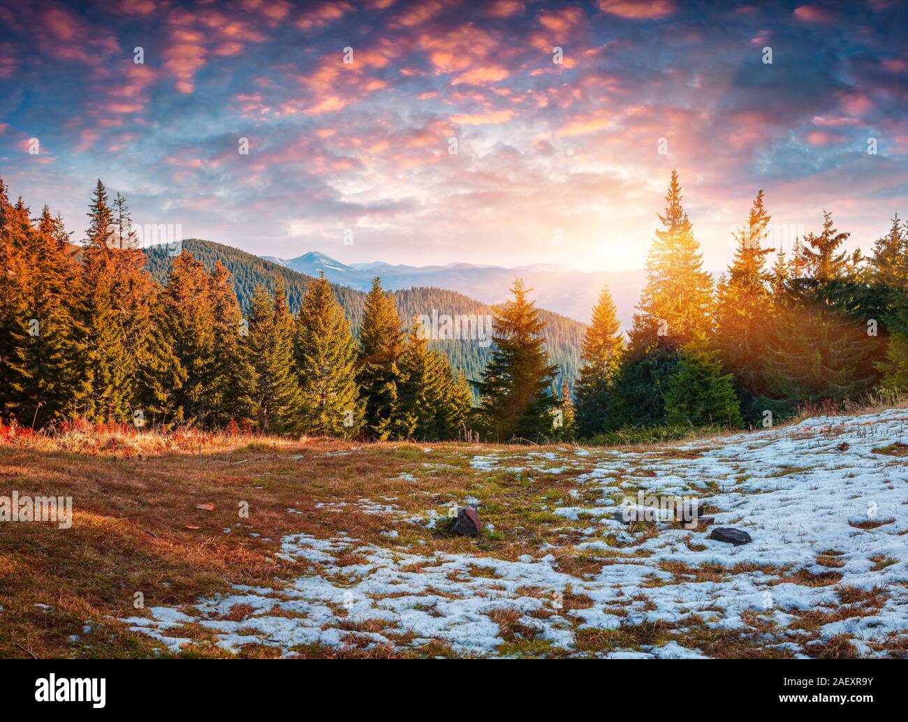 Prima neve nelle foreste di montagna. Colori d'autunno sunrise nei Carpazi, Ucraina, l'Europa. Stile artistico post elaborati foto. Foto Stock