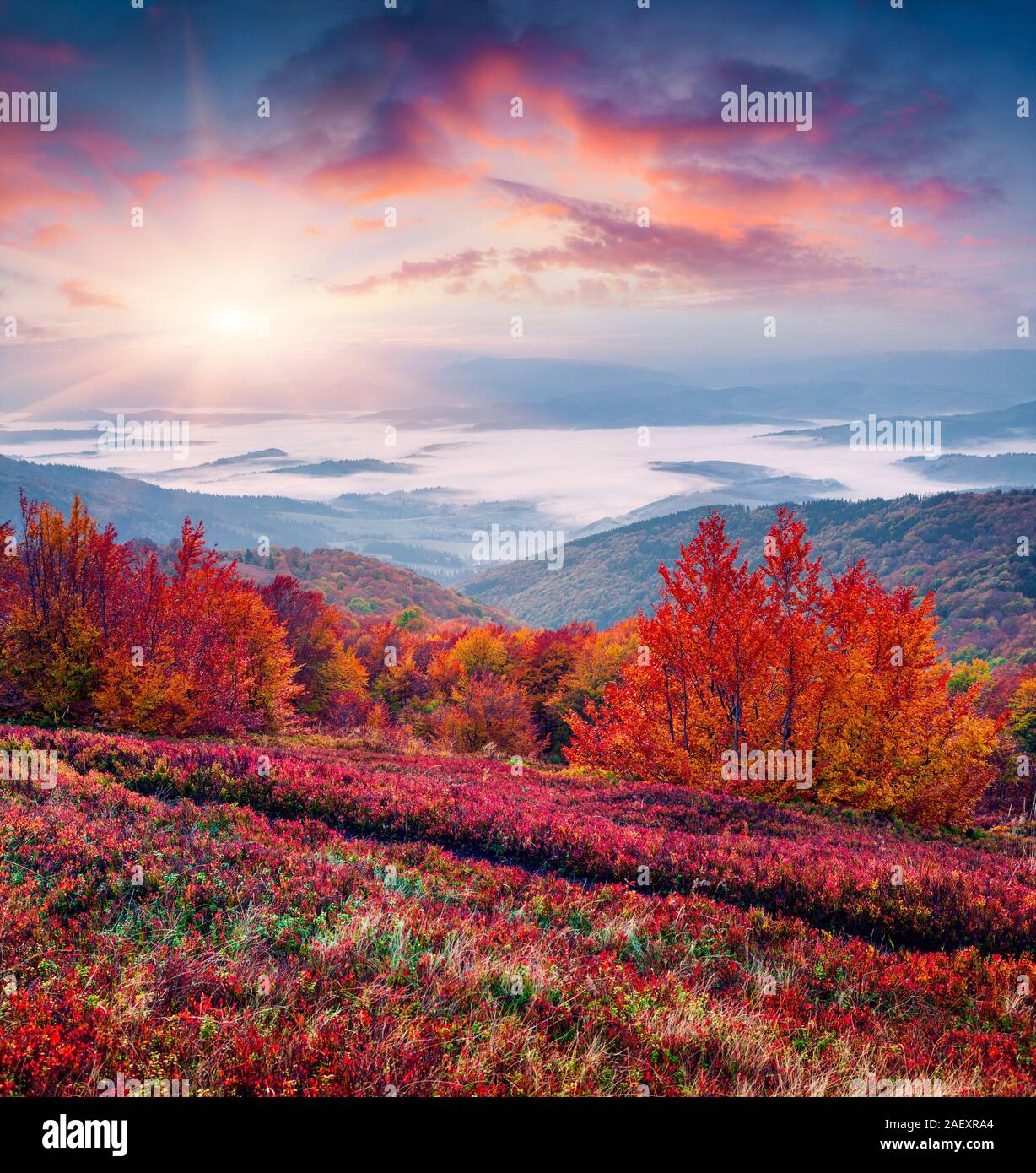 Colori fantastici paesaggi autunnali nei Carpazi. Splendida alba in montagna, Ucraina, l'Europa. Stile artistico post elaborati foto. Foto Stock