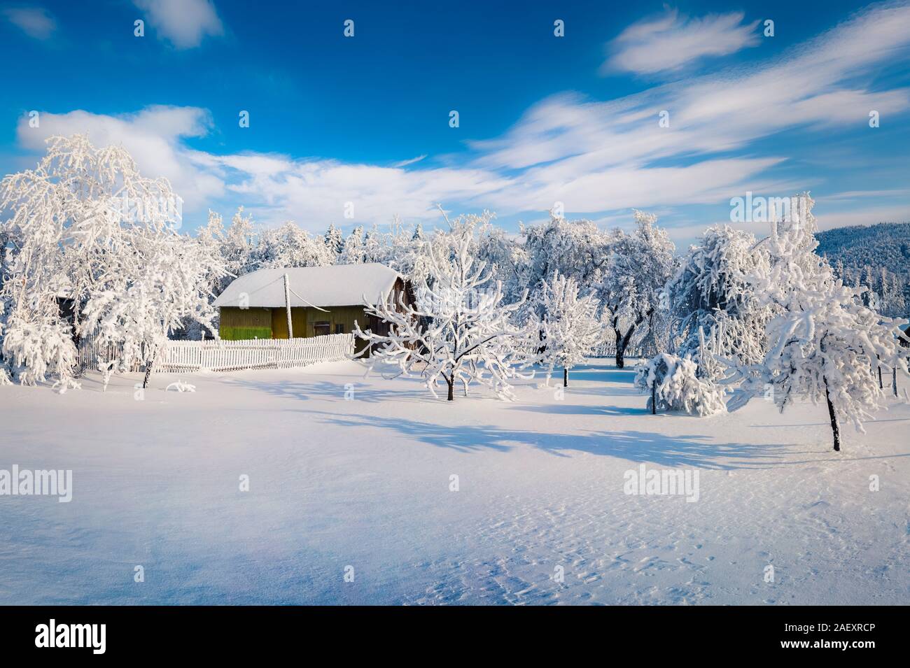 Splendida la scena di Natale nel villaggio di montagna al giorno di sole. Incantevole paesaggio invernale dei Carpazi, Ucraina, l'Europa. Stile artistico post pro Foto Stock