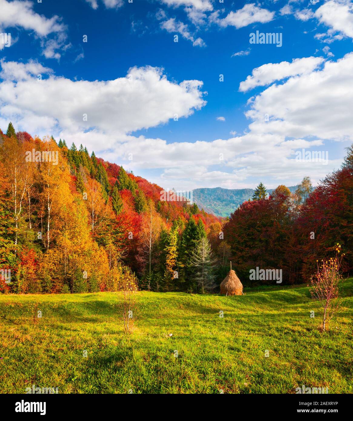 Alto cielo blu sopra la valle di montagna. colori d'autunno scena nel villaggio dei Carpazi, Ucraina, l'Europa. Stile artistico post elaborati foto. Foto Stock