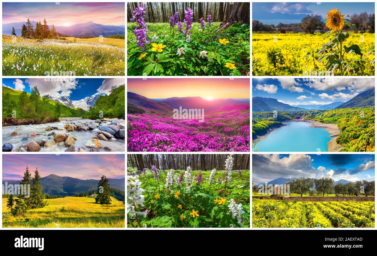 Collage con 9 colorati paesaggi d'estate. Foto Stock