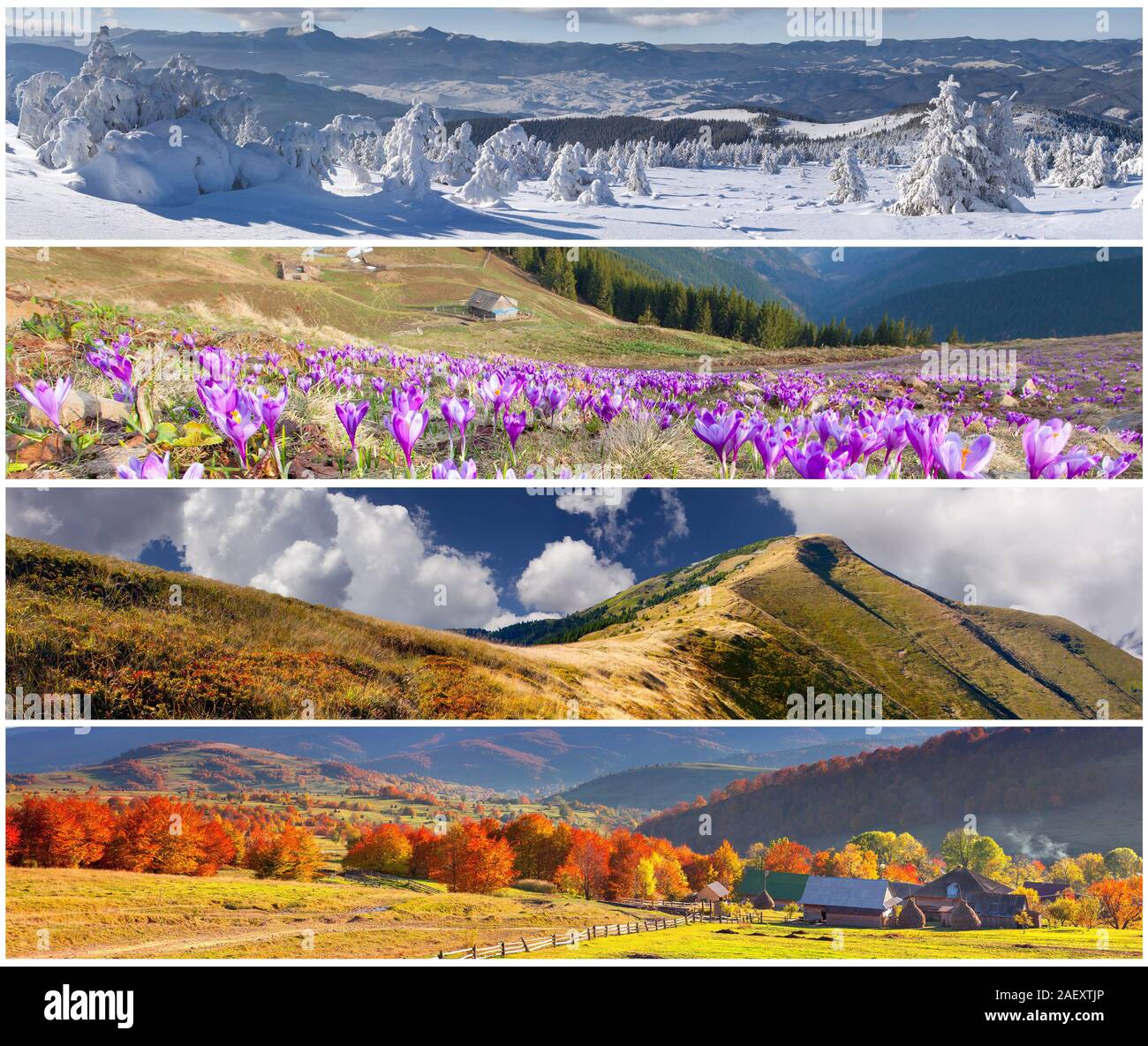 Set di 4 stagioni paesaggio per striscioni Foto Stock