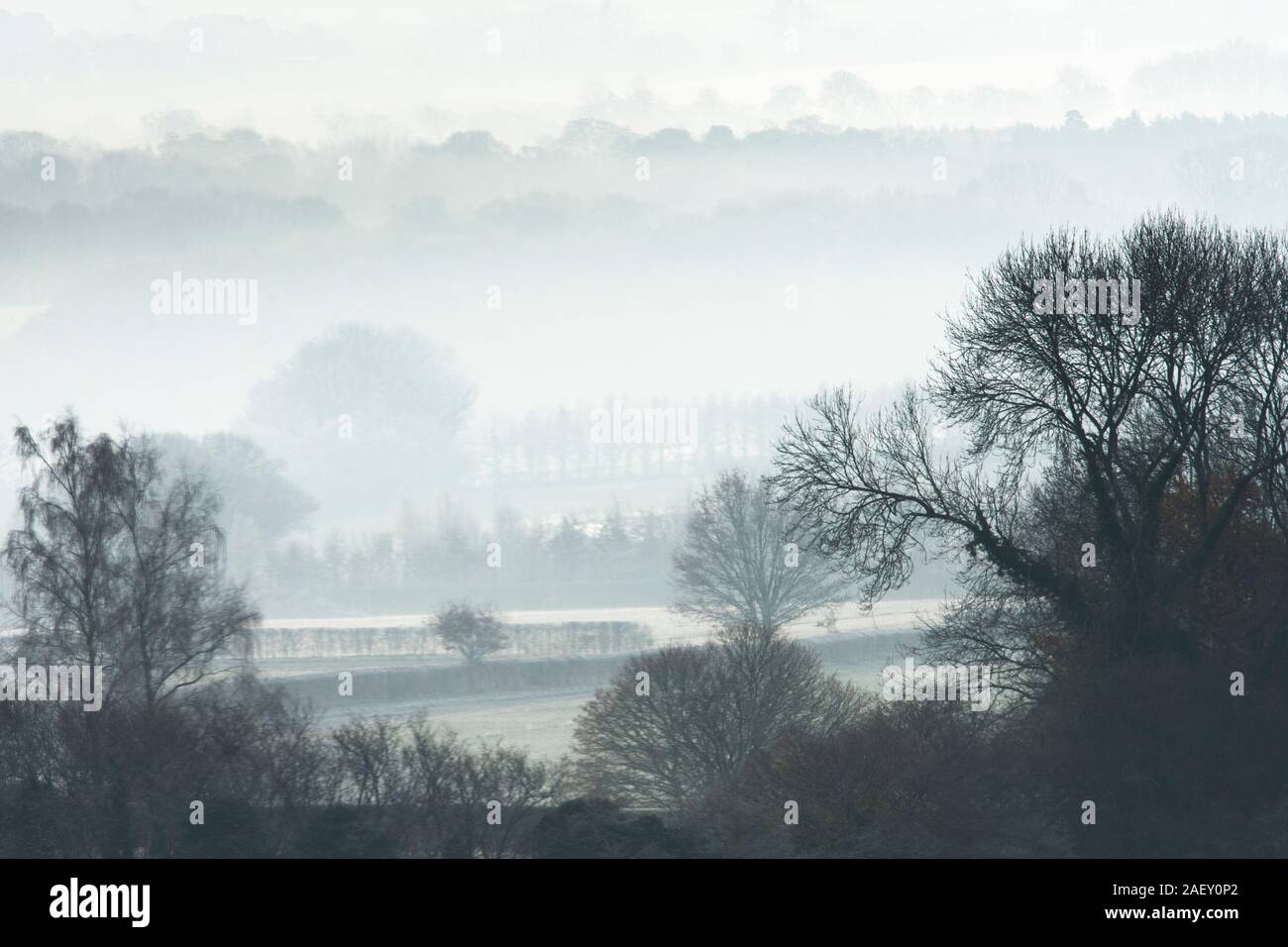 Il gelo e la nebbia su alberi e campi con una vista sulla valle di Rother al South Downs, Dicembre, Tillington, Petworth, Sussex, Regno Unito Foto Stock