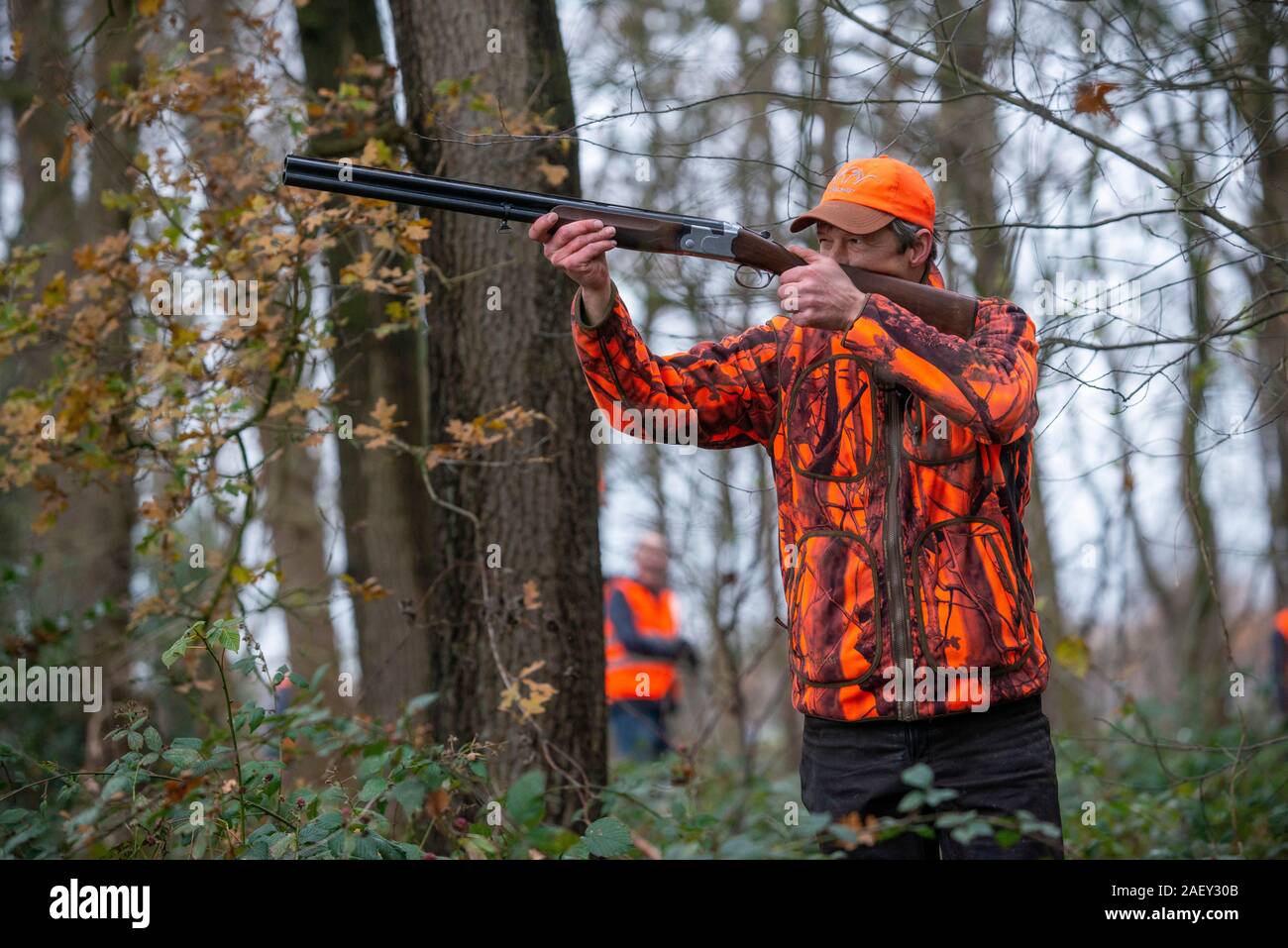 REUTUM, PAESI BASSI - Dic 07, 2019: l'uomo con un fucile da caccia è volto a sparare un fagiani. Foto Stock