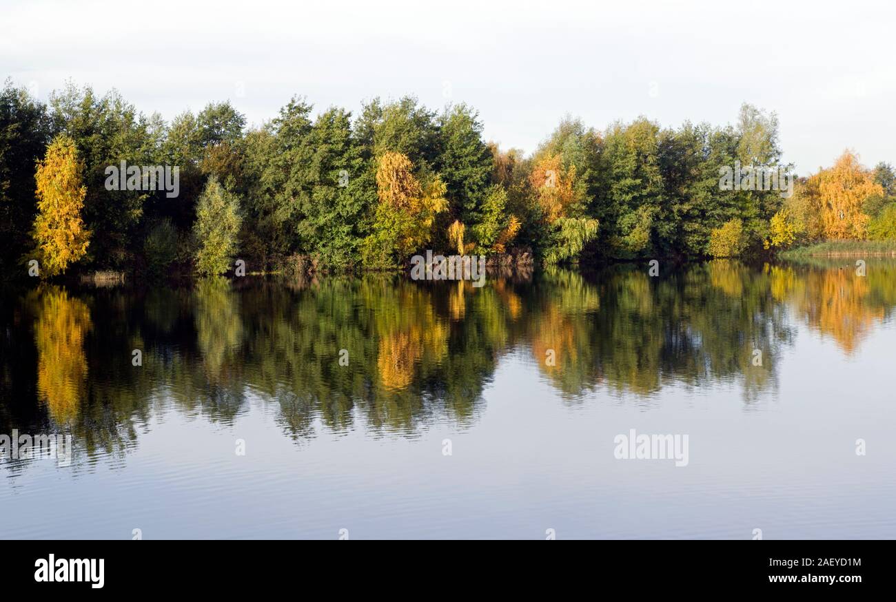 Grotta del nord le zone umide in autunno Foto Stock