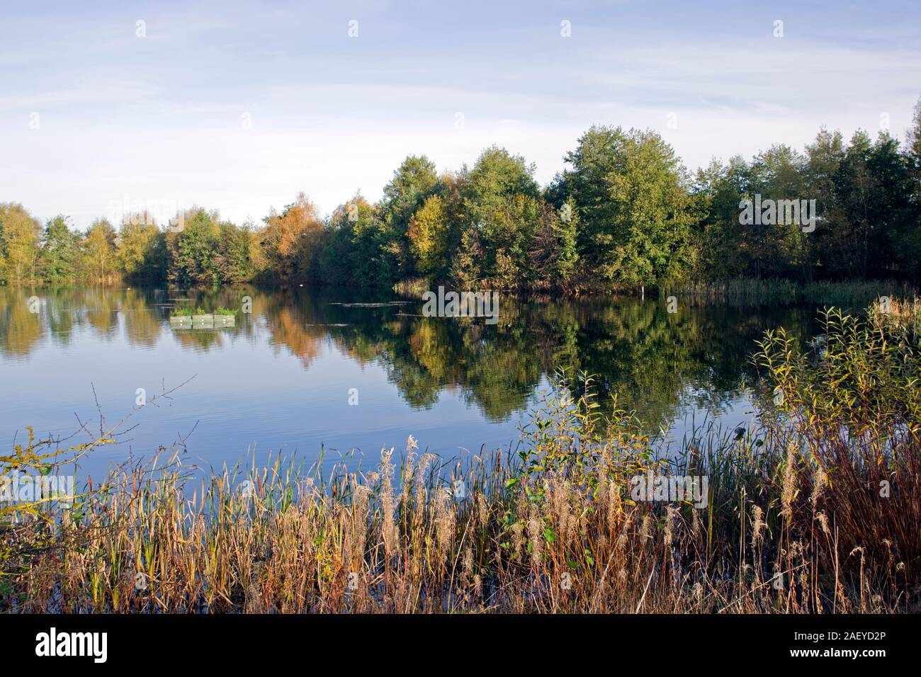Grotta del nord le zone umide in autunno la carpa Lago Foto Stock