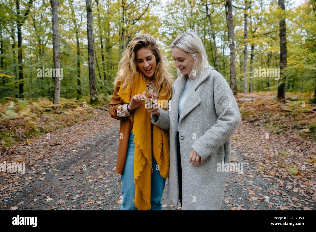 Le donne di guardare un video in streaming in una remota foresta su uno smartphone Foto Stock