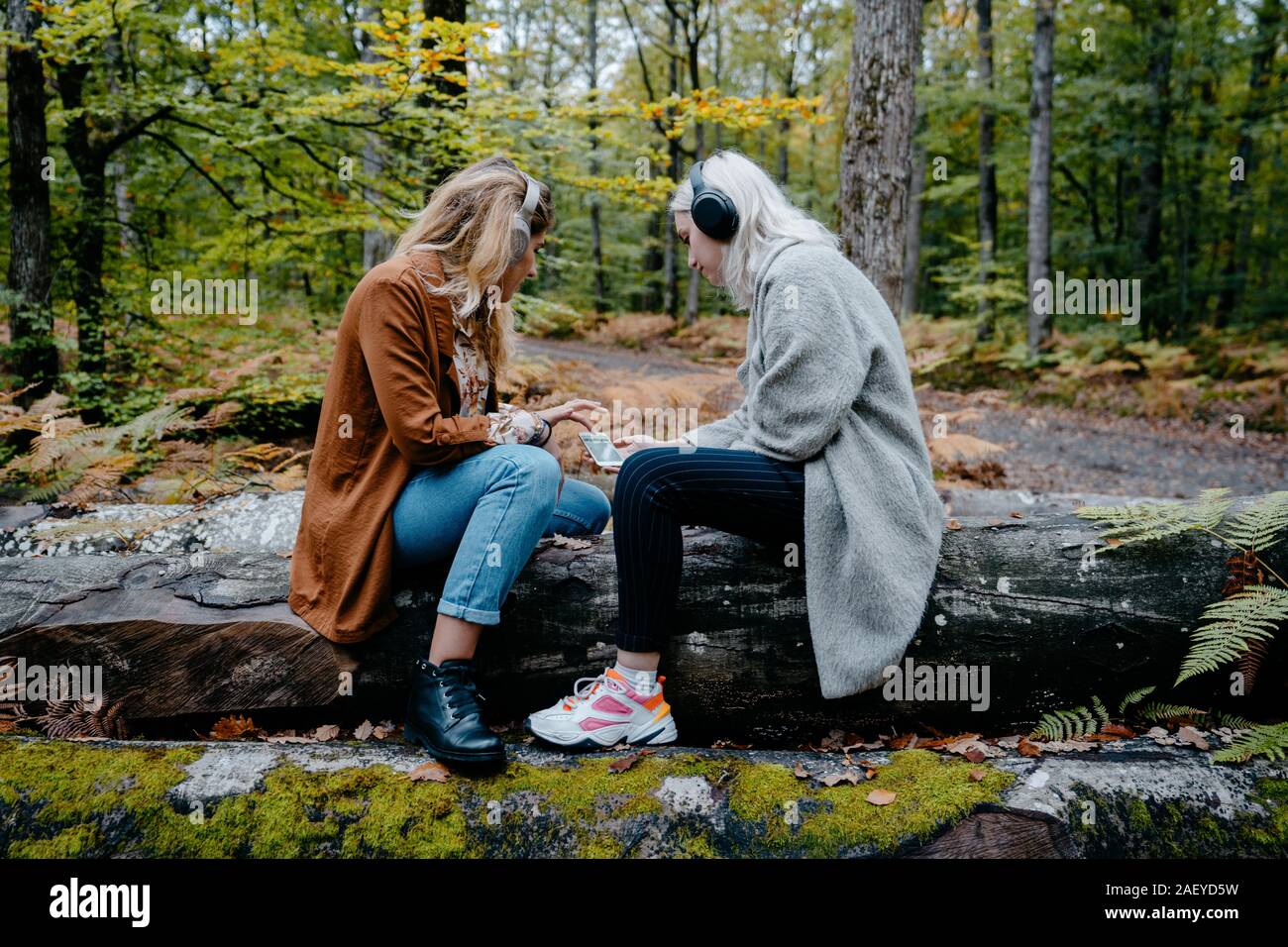 Due giovani adulti a guardare un video su uno smartphone in una remota foresta Foto Stock