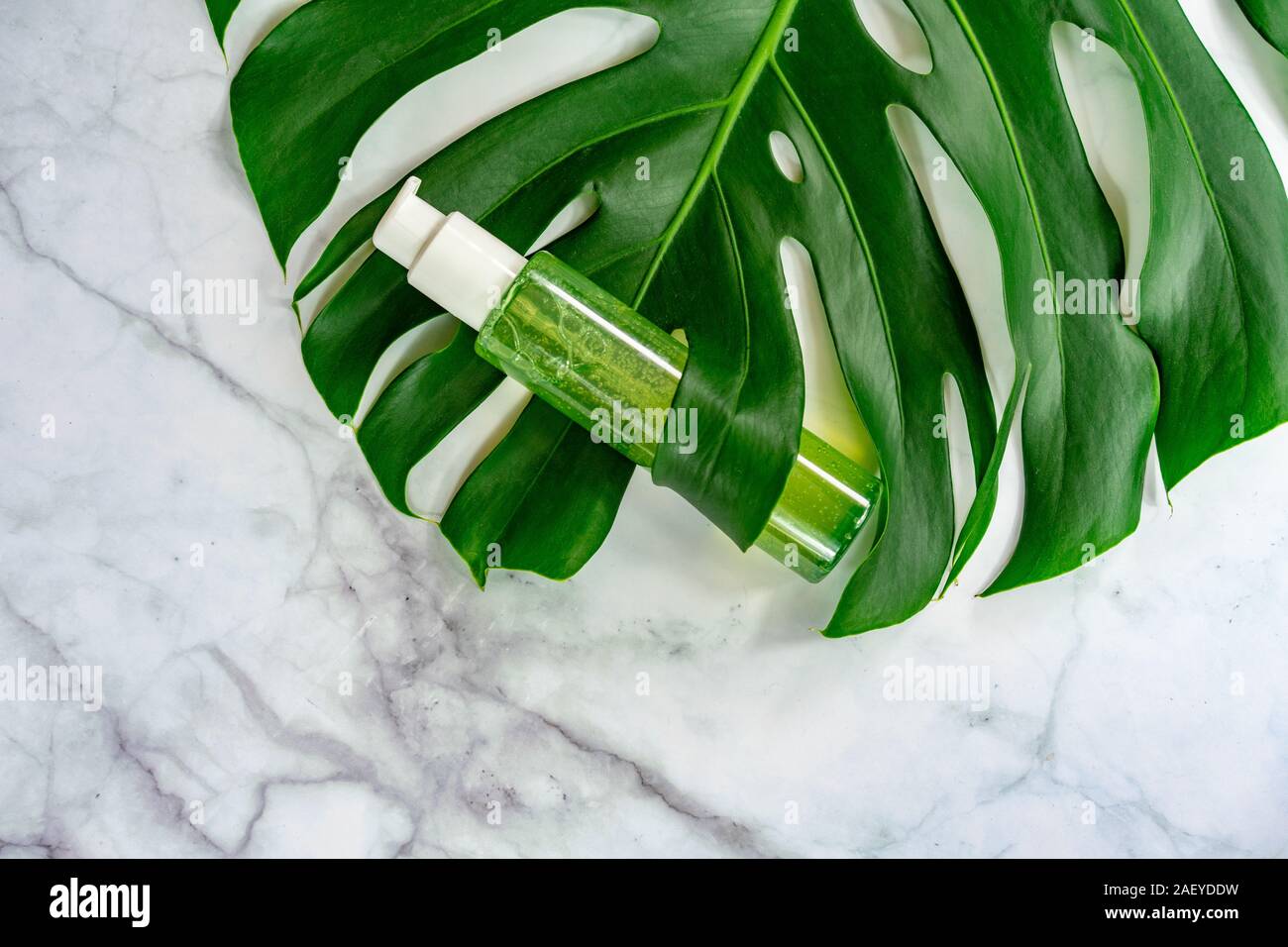 Foglia monastera azienda bio prodotto cosmetico su sfondo marmo . Foto Stock