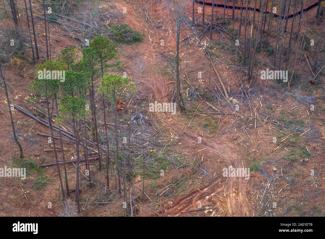 Cancellazione di Terra per costruzione sito, Lilburn, Georgia Foto Stock