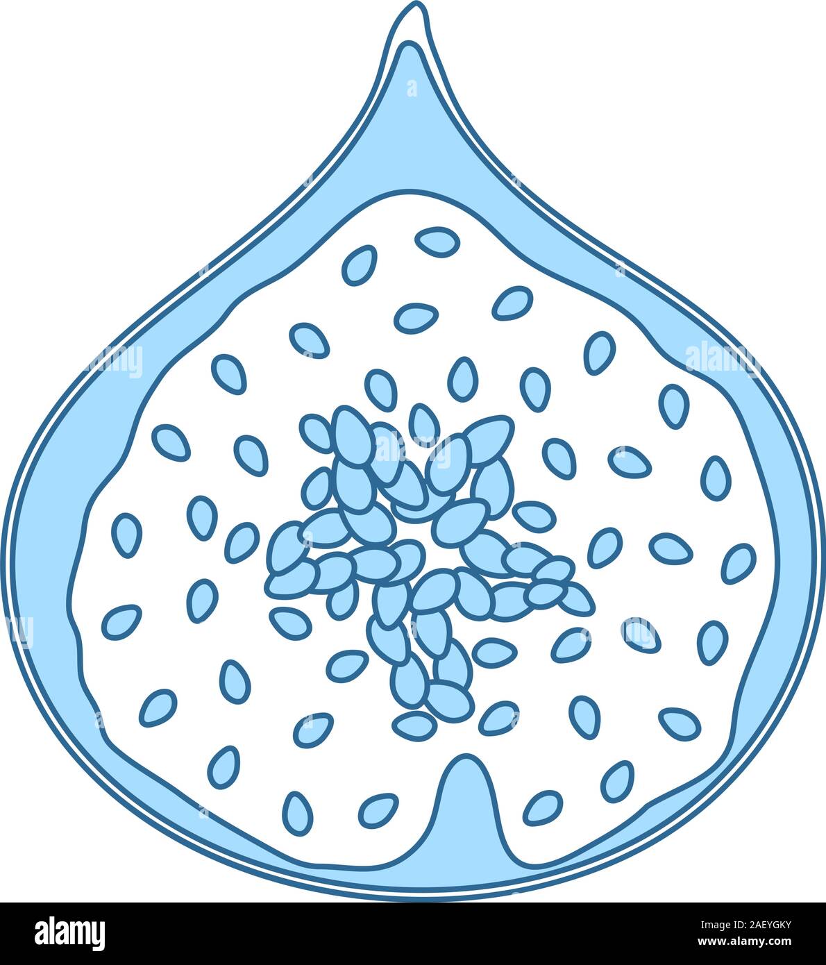 Icona della Fig frutto nella UI di colori. Linea sottile con riempimento blu Design. Illustrazione Vettoriale. Illustrazione Vettoriale