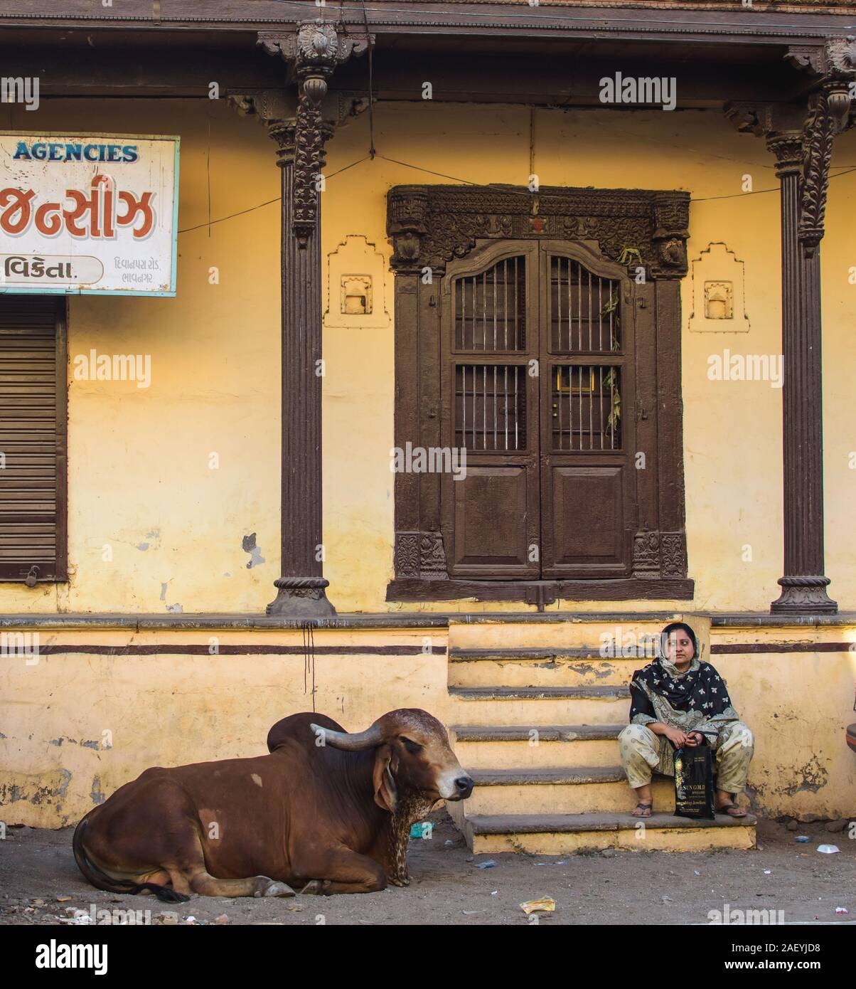Una donna e una mucca siedono fuori di una vecchia casa con una porta di legno marrone e colonne di legno. Il testo di Gujarati su un bordo annuncia che è un'agenzia di affari. Foto Stock