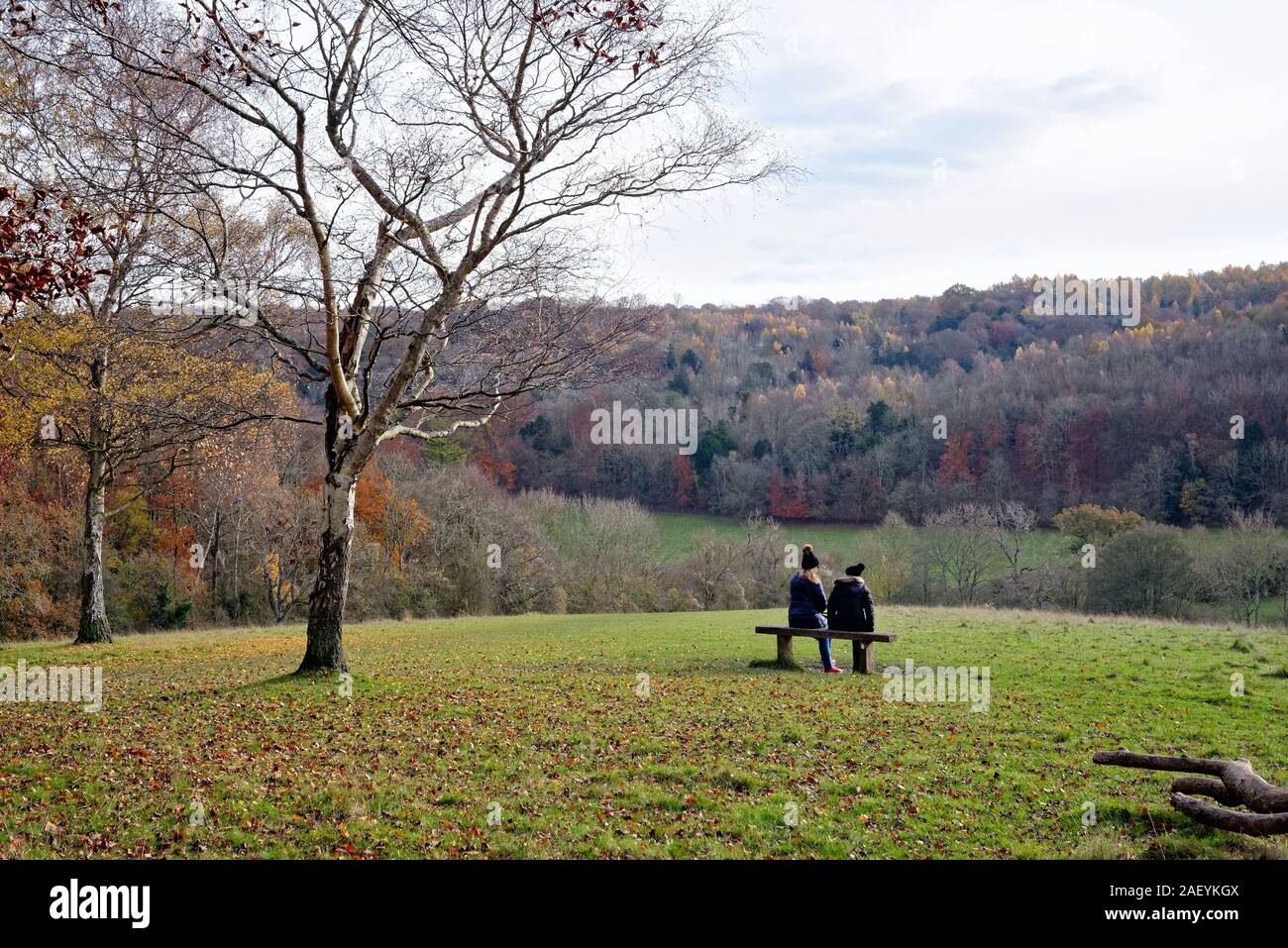 Due donne di mezza età seduto sul sedile cercando di fronte a un paesaggio invernale nel Surrey Hills in comune Ranmore vicino a Dorking England Regno Unito Foto Stock